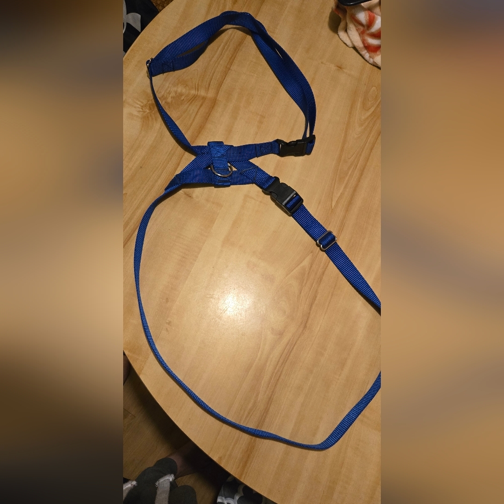 Blue Adjustable Strap - Picture 3 of 3